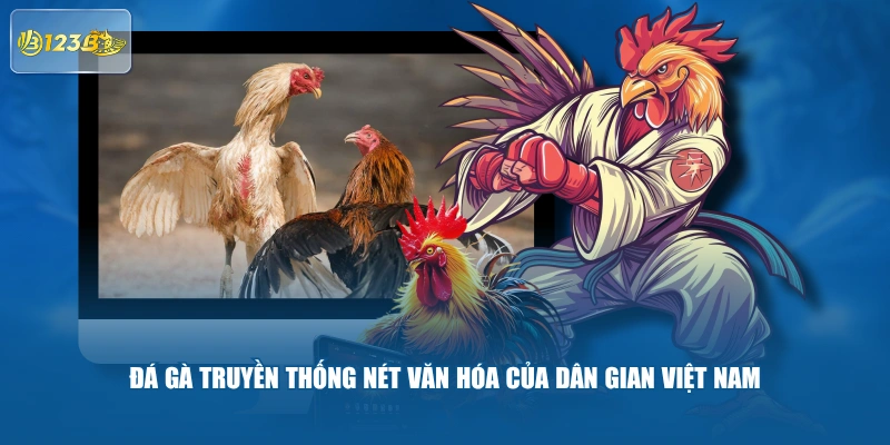 Đá Gà Truyền Thống Nét Văn Hóa Của Dân Gian Việt Nam